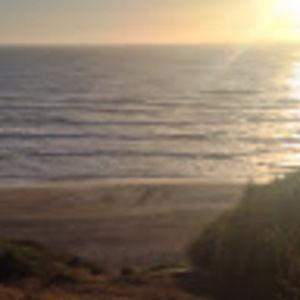 Meet your Posher, Lara